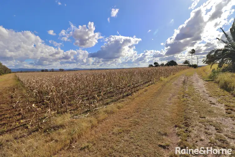 Fourth view of Homely rural property listing, 984 Ellesmere Rd, Haly Creek QLD 4610