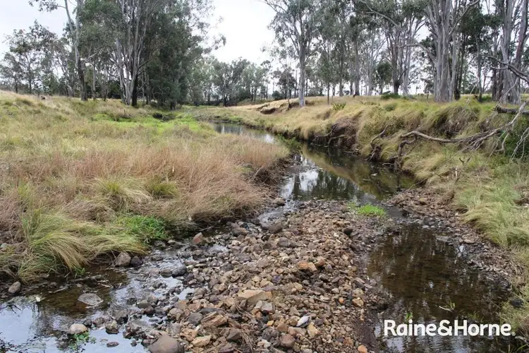 Seventh view of Homely rural property listing, 984 Ellesmere Rd, Haly Creek QLD 4610