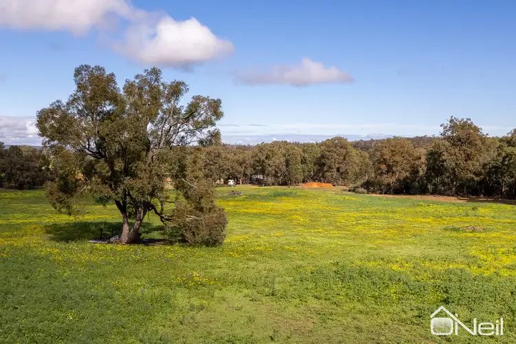 Second view of Homely land listing, 125 Feldts Road, Martin WA 6110