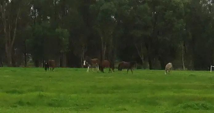 Third view of Homely land listing, Lot 26 Dairy Link, Mardella WA 6125