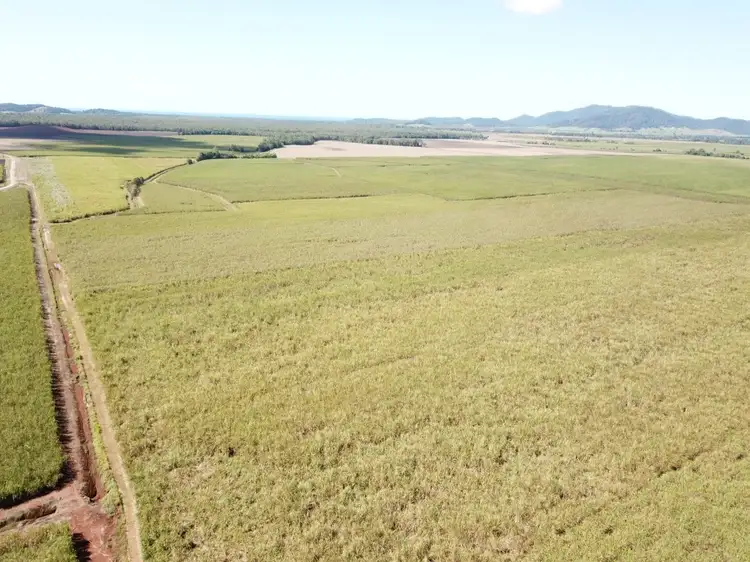 Main view of Homely rural property listing, Lot 499 Bruce Highway, Silkwood QLD 4856