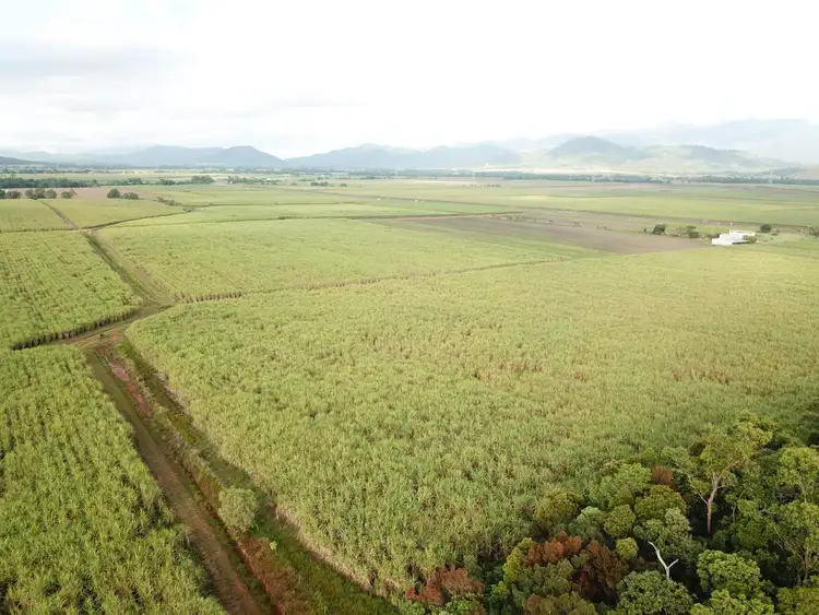 Third view of Homely rural property listing, Lot 499 Bruce Highway, Silkwood QLD 4856