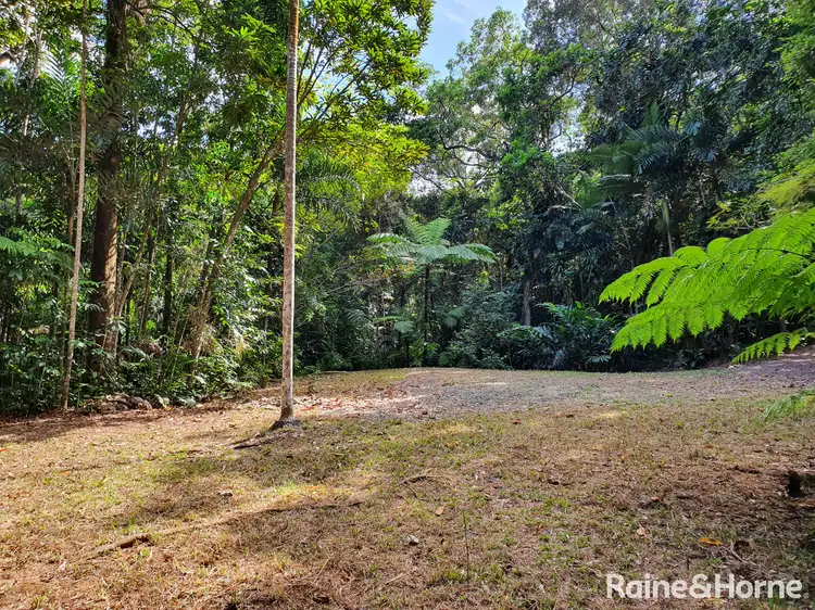 Main view of Homely land listing, 132 George Road, FOREST CREEK, Daintree QLD 4873