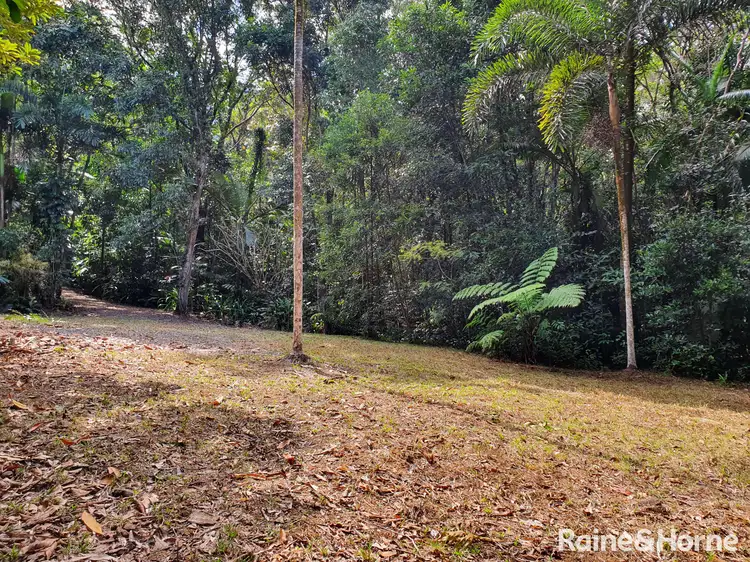 Second view of Homely land listing, 132 George Road, FOREST CREEK, Daintree QLD 4873