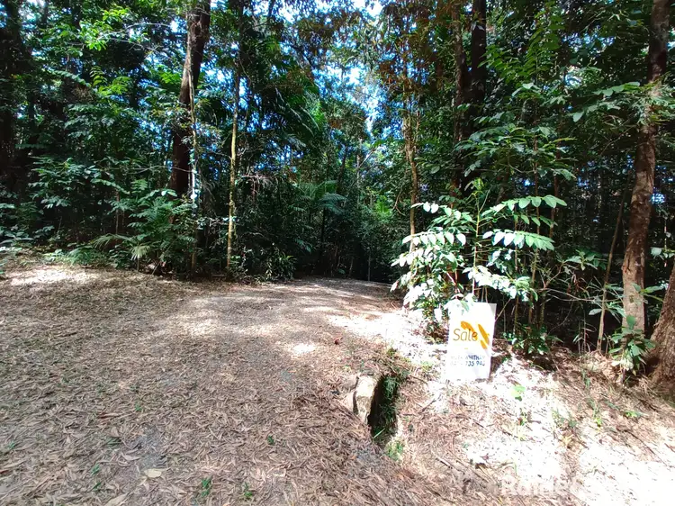 Third view of Homely land listing, 132 George Road, FOREST CREEK, Daintree QLD 4873