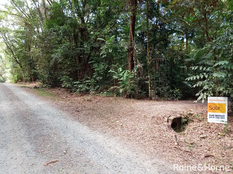 Fourth view of Homely land listing, 132 George Road, FOREST CREEK, Daintree QLD 4873