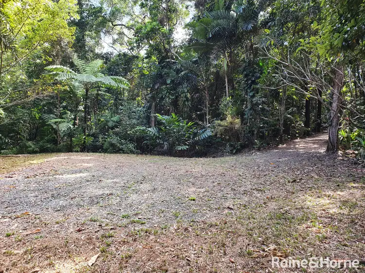 Fifth view of Homely land listing, 132 George Road, FOREST CREEK, Daintree QLD 4873