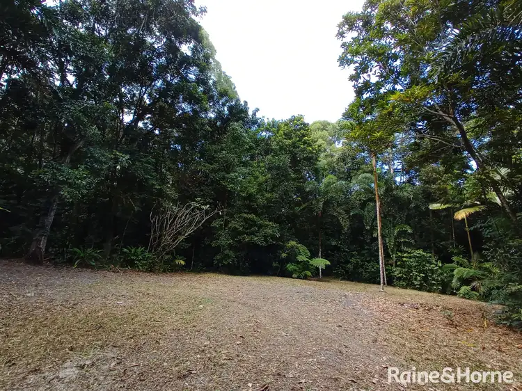 Sixth view of Homely land listing, 132 George Road, FOREST CREEK, Daintree QLD 4873