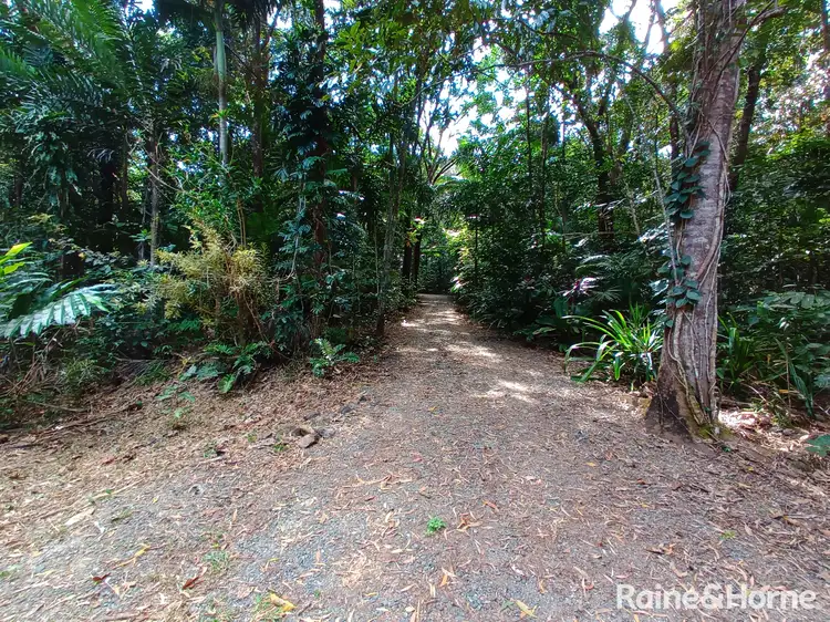 Seventh view of Homely land listing, 132 George Road, FOREST CREEK, Daintree QLD 4873