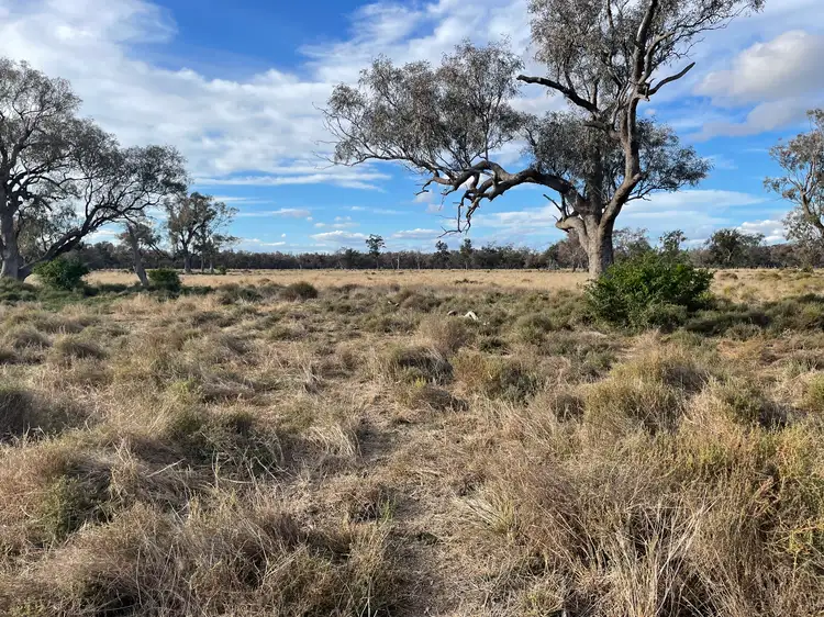 Main view of Homely rural property listing, 2275 Nowley Rd, Burren Junction NSW 2386