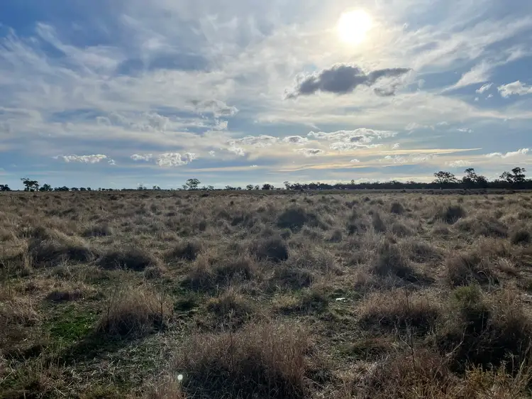 Second view of Homely rural property listing, 2275 Nowley Rd, Burren Junction NSW 2386