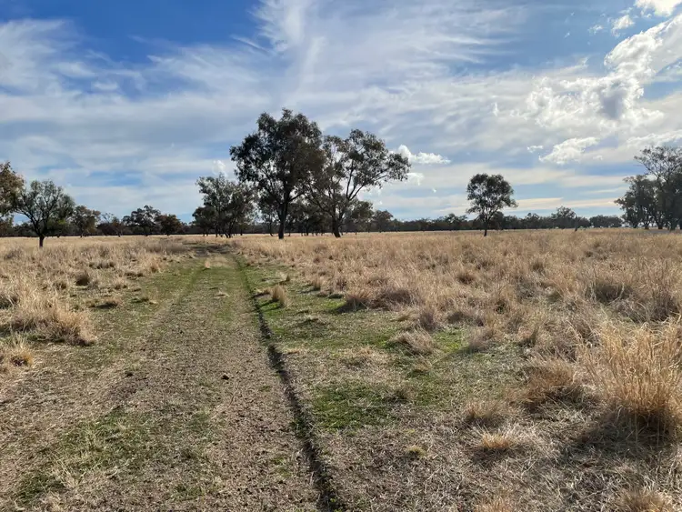 Third view of Homely rural property listing, 2275 Nowley Rd, Burren Junction NSW 2386