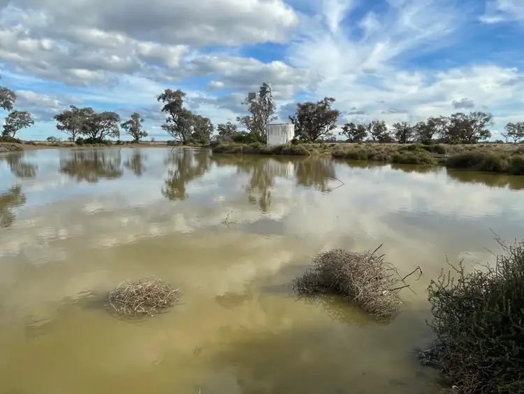 Fourth view of Homely rural property listing, 2275 Nowley Rd, Burren Junction NSW 2386