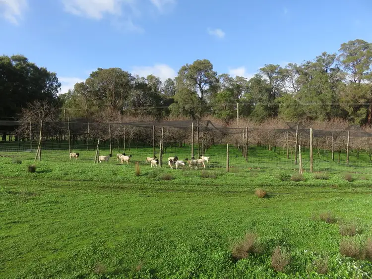Third view of Homely land listing, 328 Jubb Road, Jarrahdale WA 6124