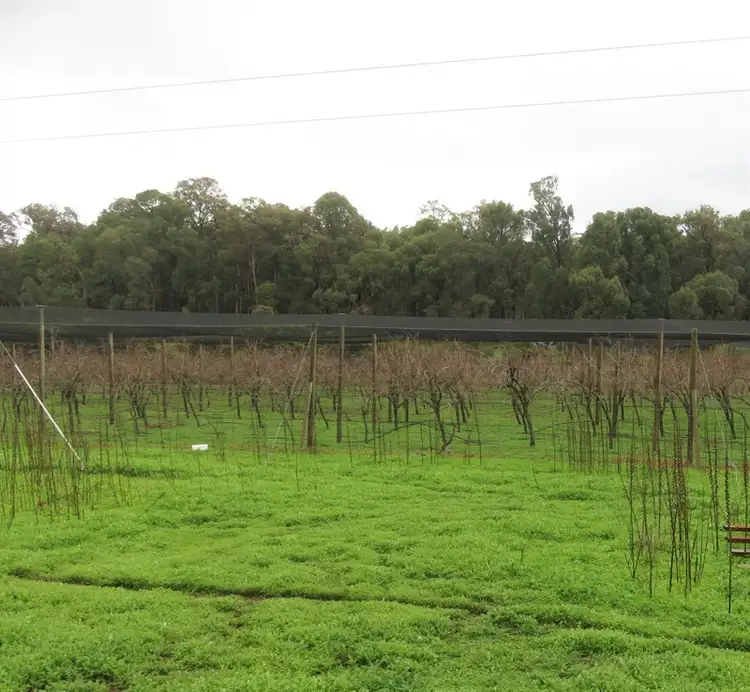 Sixth view of Homely land listing, 328 Jubb Road, Jarrahdale WA 6124