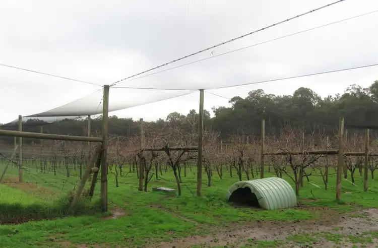 Seventh view of Homely land listing, 328 Jubb Road, Jarrahdale WA 6124