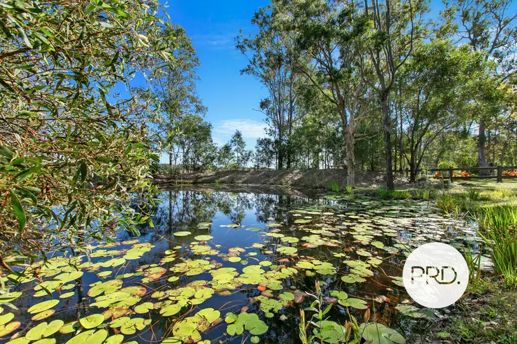 Third view of Homely house listing, 217 River Road, Tinana QLD 4650