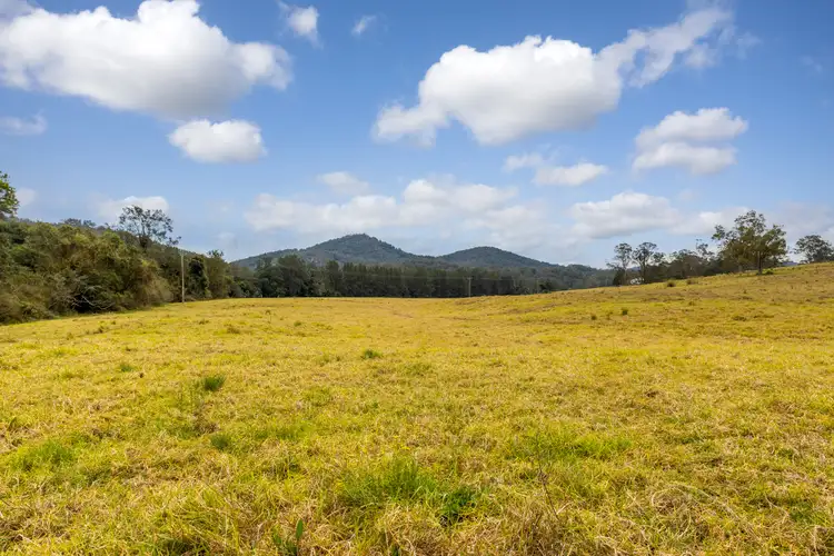Third view of Homely rural property listing, 1199 Bulga Road, Wingham NSW 2429