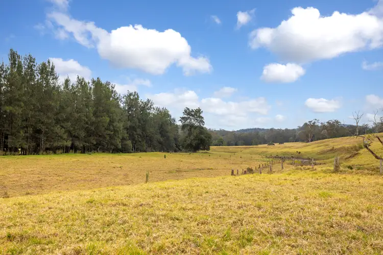 Fifth view of Homely rural property listing, 1199 Bulga Road, Wingham NSW 2429