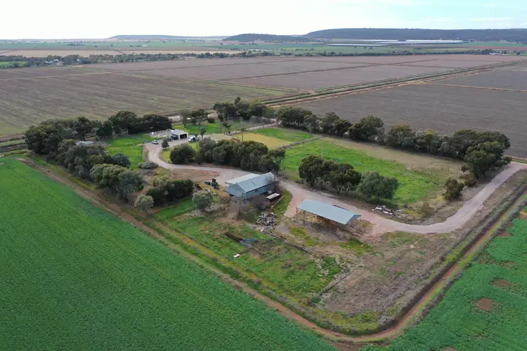 Main view of Homely rural property listing, 471 Coleman Road, Leeton NSW 2705