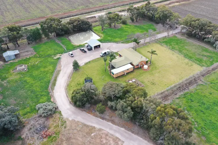 Second view of Homely rural property listing, 471 Coleman Road, Leeton NSW 2705