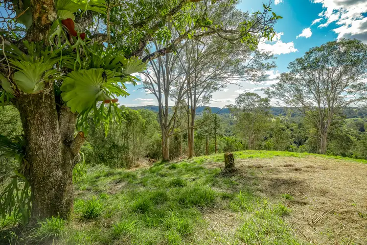 Main view of Homely land listing, LOT 20, 124 Top Forestry Road, Ridgewood QLD 4563