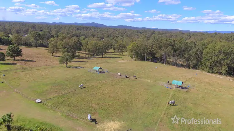 Fifth view of Homely rural property listing, 264-278 Millstream Road, Cedar Vale QLD 4285