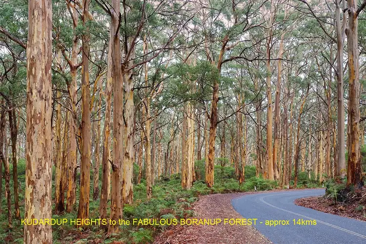 Fifth view of Homely land listing, LOT 50, Kudardup Road Stage 2B, Kudardup Road, Kudardup WA 6290