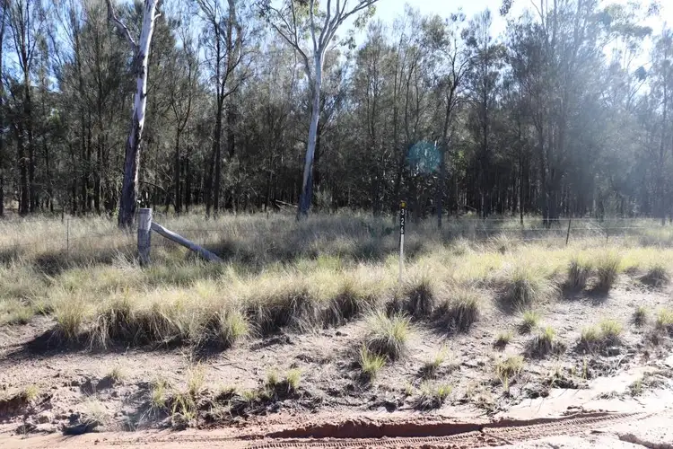 Fourth view of Homely rural property listing, Lot 49 Mclean Road, Durong QLD 4610