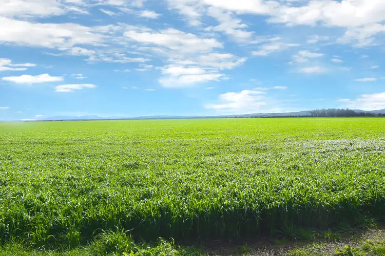 Main view of Homely rural property listing, 2886 Geelong Road, Ballyrogan VIC 3375