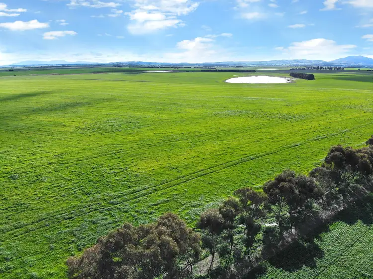 Fourth view of Homely rural property listing, 2886 Geelong Road, Ballyrogan VIC 3375