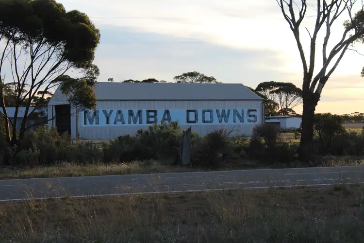 Main view of Homely rural property listing, Lot 566 Coolgardie Esperance Highway, Salmon Gums WA 6445