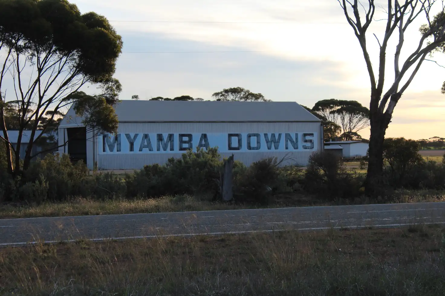 Main view of Homely rural property listing, Lot 566 Coolgardie Esperance Highway, Salmon Gums WA 6445
