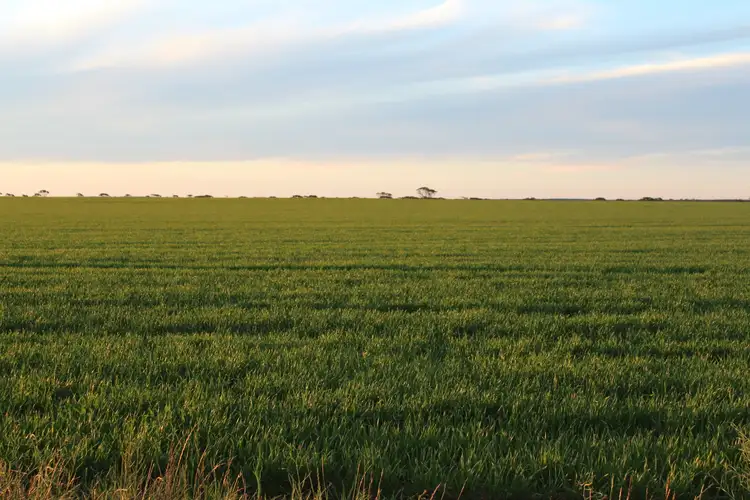 Second view of Homely rural property listing, Lot 566 Coolgardie Esperance Highway, Salmon Gums WA 6445