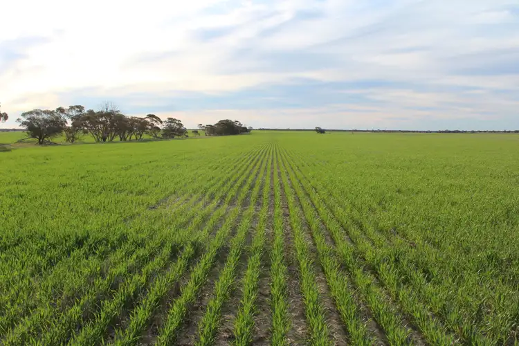 Third view of Homely rural property listing, Lot 566 Coolgardie Esperance Highway, Salmon Gums WA 6445