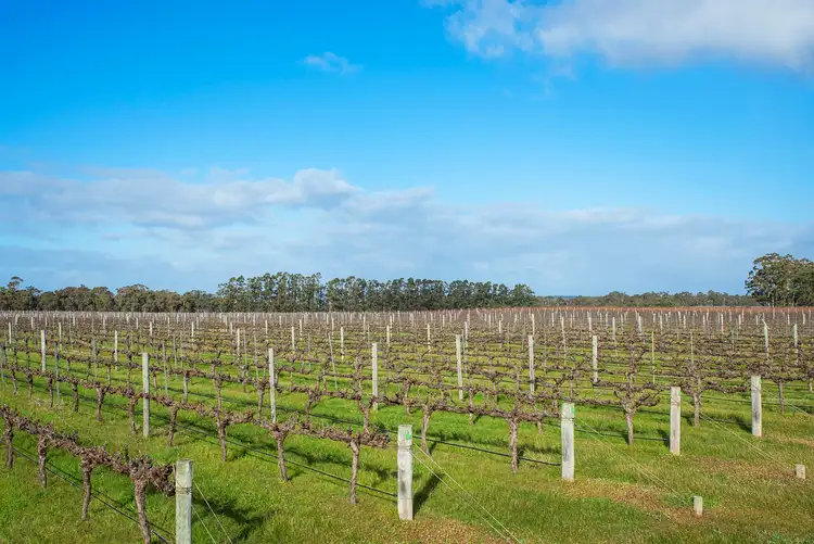 Third view of Homely rural property listing, 35/241 Clews Road, Cowaramup WA 6284
