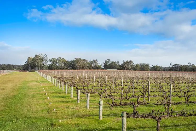 Seventh view of Homely rural property listing, 35/241 Clews Road, Cowaramup WA 6284