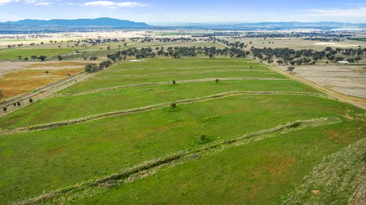 Fifth view of Homely rural property listing, "Corella" 1654 Corella Road, Manilla NSW 2346