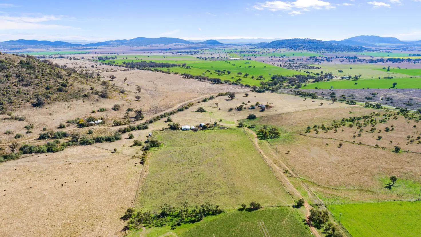 Main view of Homely rural property listing, 2868 Werris Creek Road, Currabubula NSW 2342
