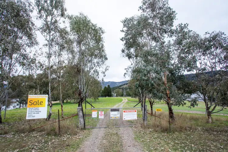 Fourth view of Homely rural property listing, 650 Foggs Crossing Road (Bigga), Cowra NSW 2794