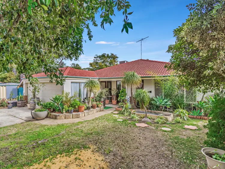 Second view of Homely house listing, 29 Donkey Orchid Turn, Greenfields WA 6210