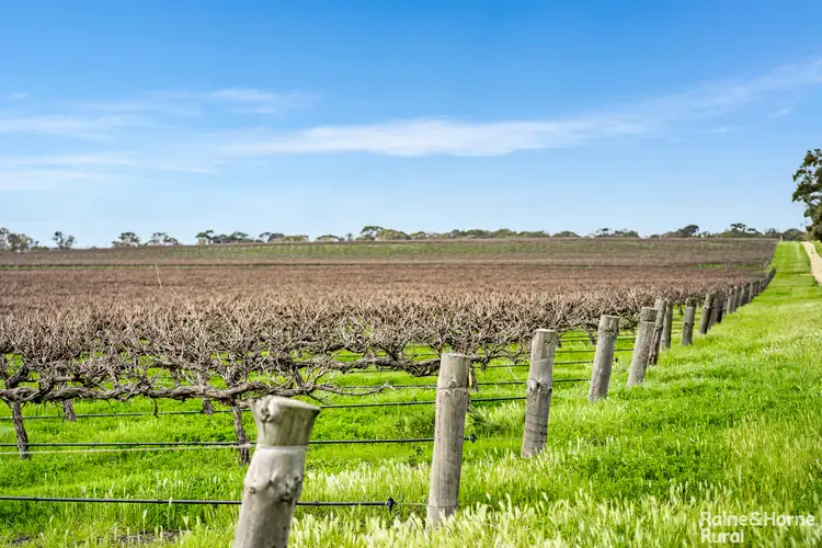 Third view of Homely rural property listing, A5 Langhorne Creek Road, Langhorne Creek SA 5255