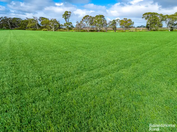 Fourth view of Homely rural property listing, A5 Langhorne Creek Road, Langhorne Creek SA 5255