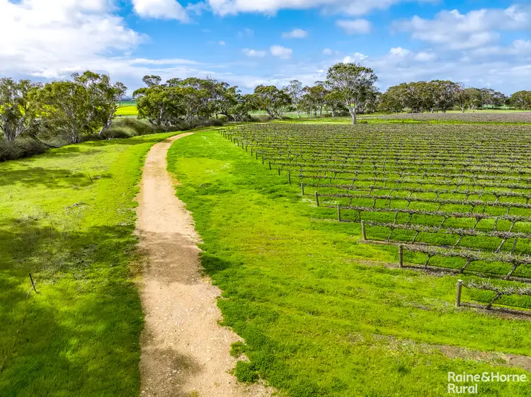Fifth view of Homely rural property listing, A5 Langhorne Creek Road, Langhorne Creek SA 5255