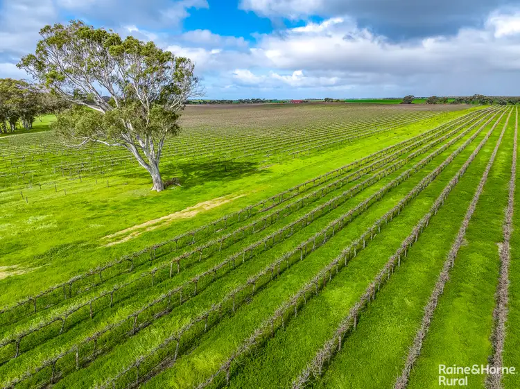 Sixth view of Homely rural property listing, A5 Langhorne Creek Road, Langhorne Creek SA 5255