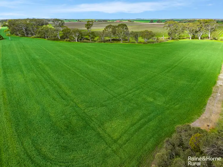 Seventh view of Homely rural property listing, A5 Langhorne Creek Road, Langhorne Creek SA 5255