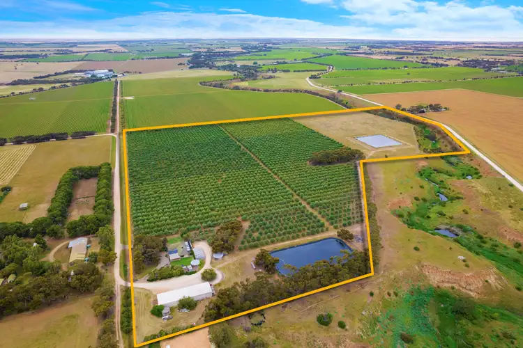 Second view of Homely rural property listing, 39 Huntingdale Road, Strathalbyn SA 5255
