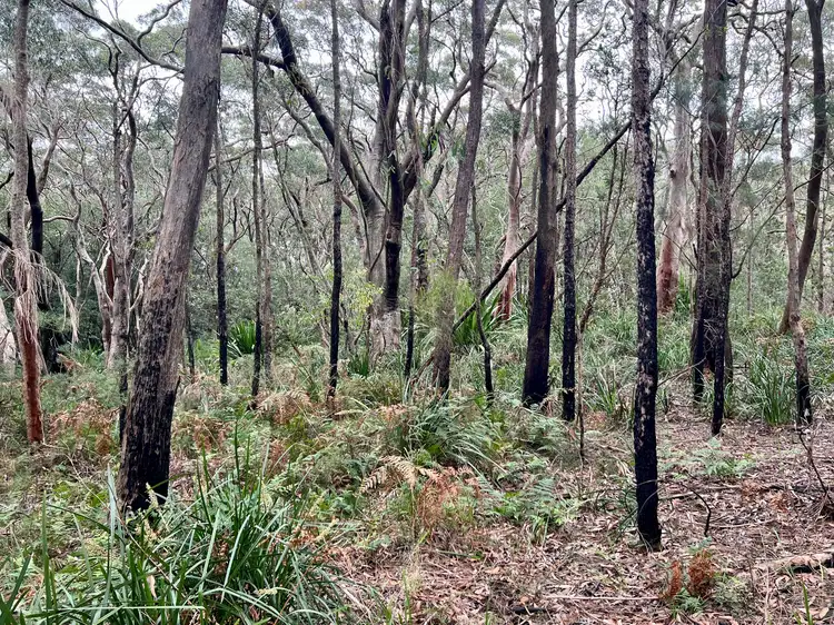 Fourth view of Homely land listing, Lot 23 Section 4 DP2644 Tarawa Road, Helensburgh NSW 2508