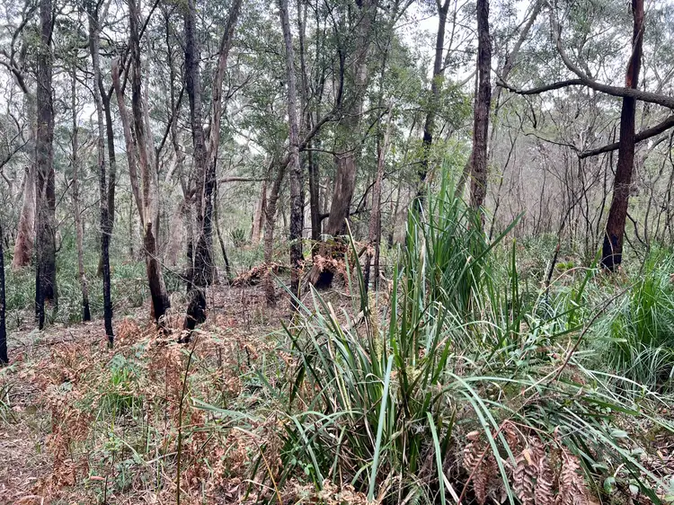 Fifth view of Homely land listing, Lot 23 Section 4 DP2644 Tarawa Road, Helensburgh NSW 2508