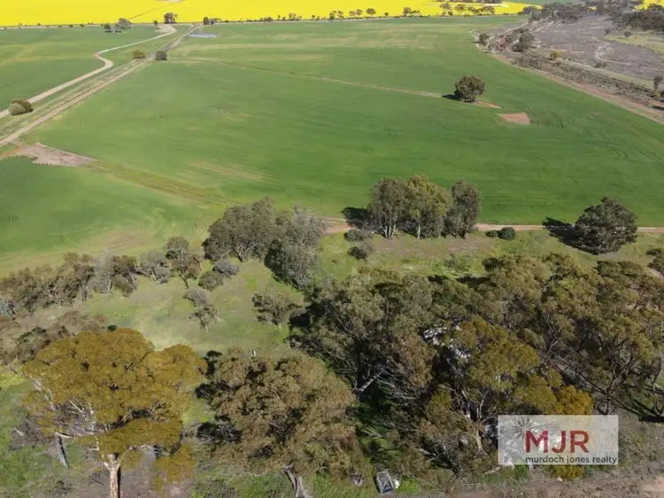 Lot 556 Quairading-York Road, Kauring WA 6302